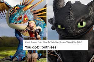 How To Train Your Dragon