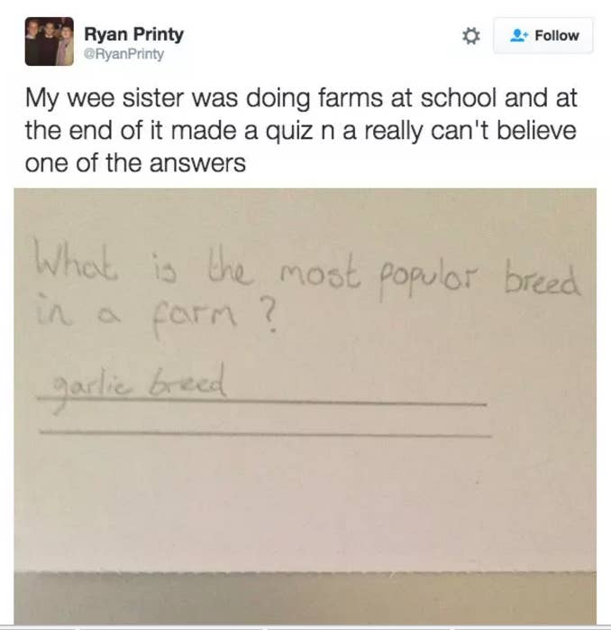 27 Times Scottish People Were The Funniest About Food