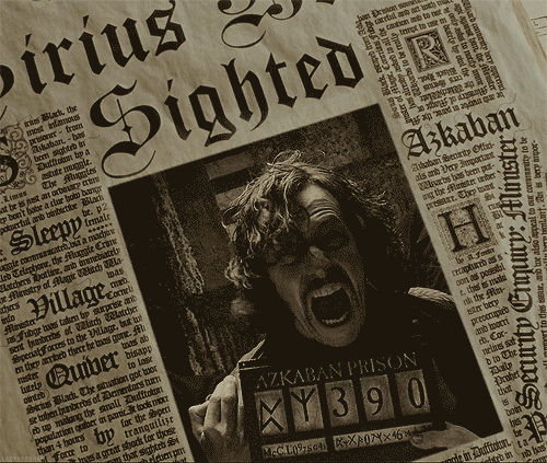 „Ich hasse, dass Sirius niemals eine verdammte Gerichtsverhandlung bekommen hat! Die Welt weiß bis heute nicht, dass er unschuldig ist.“—wanderyourlust