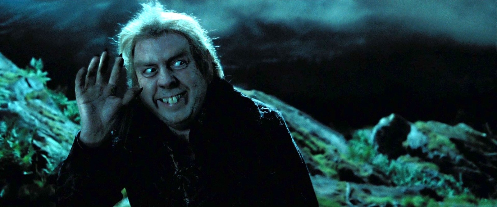 Peter pettigrew character фото