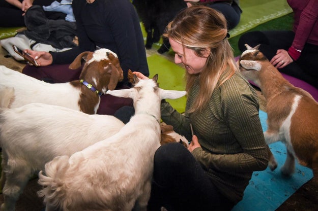 And people can't get enough of it.