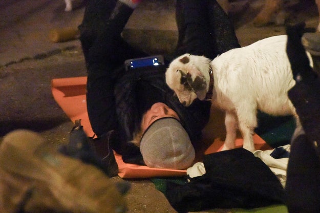 And it's delightful.