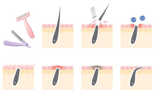 23 Things You Should Know About Pubic Hair