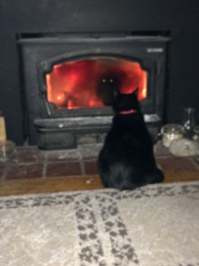 At times, it is better to avoid watching at the reflection. After a short glance at the reflection of that black kitty that stares at the fireplace, one receives a feeling that the shadow of a great darkness is watching you back from the other world.
