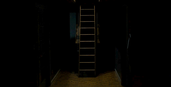 ''Wow, what's that scratching noise coming from my attic? BETTER GO CHECK IT OUT!' Like no, JUST RUN.'— kittenfeathers