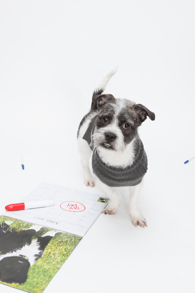 When you’re counting down the days until your demise.