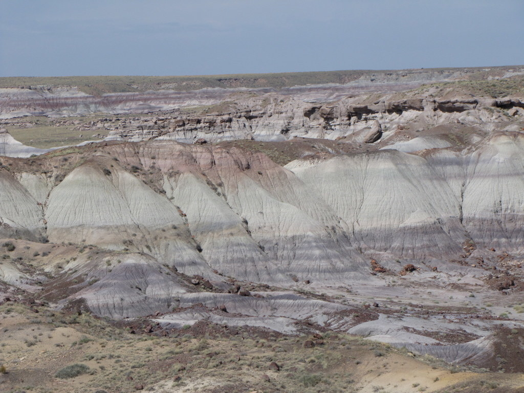 On the drive from Albuquerque, NM to Flagstaff, AZ we stopped at the Painted Desert and Petrified Forest. The painted desert had astounding views of multi-layered and colored stone. Our kids recalled a Phineaus and Ferb Disney episode that highlighted this national park. The petrified forest was unexpected in terms of what to see. There were very few trees. And it was desolate. My wife had been there as a child and recalled seeing a lot of petrified wood lying about in plain site. We went to the gift shop and commented as such. The gift shop clerk commented that for years people have been stealing the petrified wood. Interestingly enough, the clerk added: "A lot of people mail the rocks back. There is a huge pile outside of the Ranger's station. Those people had a terrible string of bad luck after stealing the petrified rock from the national park so they returned them anonymously. The Rangers are not distributing the returned rocks because they are trying to save it for future generations to see." Karma.