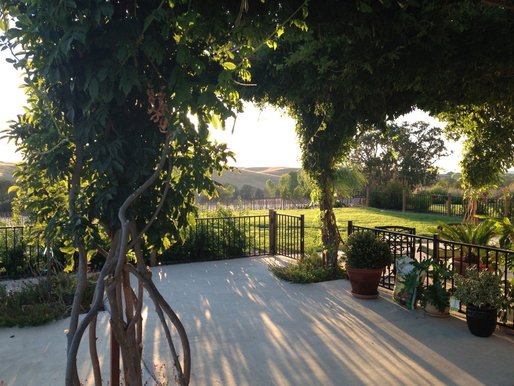 We had an unexpected surprise on this trip with our stay in Paso Robles, CA. It was a long drive from Falgstaff, but Paso Robles was a good stop on our long path to San Francisco. We stayed at the Sun Dance Bed and Breakfast. Amazing! We were greeted with wine and hors d'oeuvers and appropriate drinks for our kids. The owners quickly realized that we were exhausted and provided dinner for us. We spent the evening relaxing in the back yard, the four of us laying in TWO of the lounge chairs because we all wanted to snuggle (!!!), and enjoying seeing the stars. The kids had never seen the stars at night because of the light pollution where we live. We had the most amazing breakfast the next day and off we went to the San Francisco area.