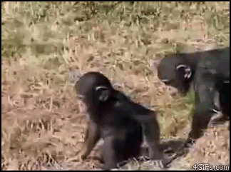 過保護ママ