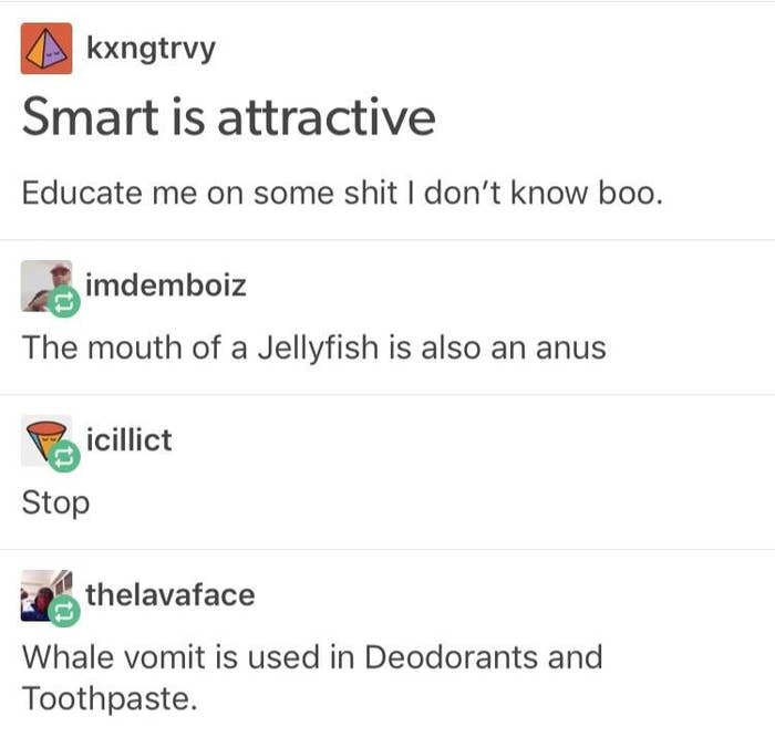 18 Times Tumblr Users Joined Together To Be Hilarious