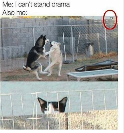 21 Memes You Ll Appreciate If You Secretly Live For The Drama