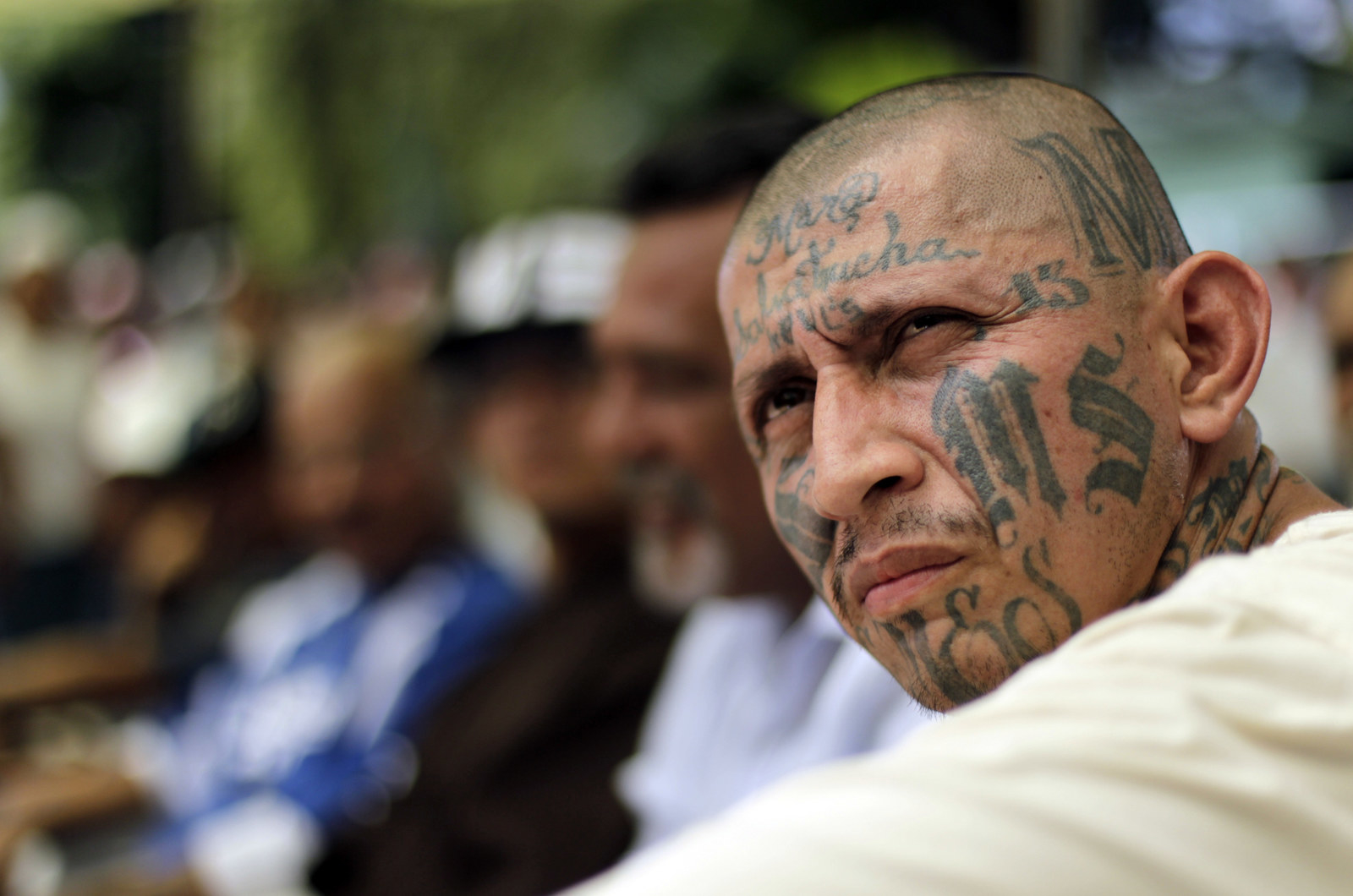 what-is-ms-13-and-why-is-trump-suddenly-obsessed-with-this-gang