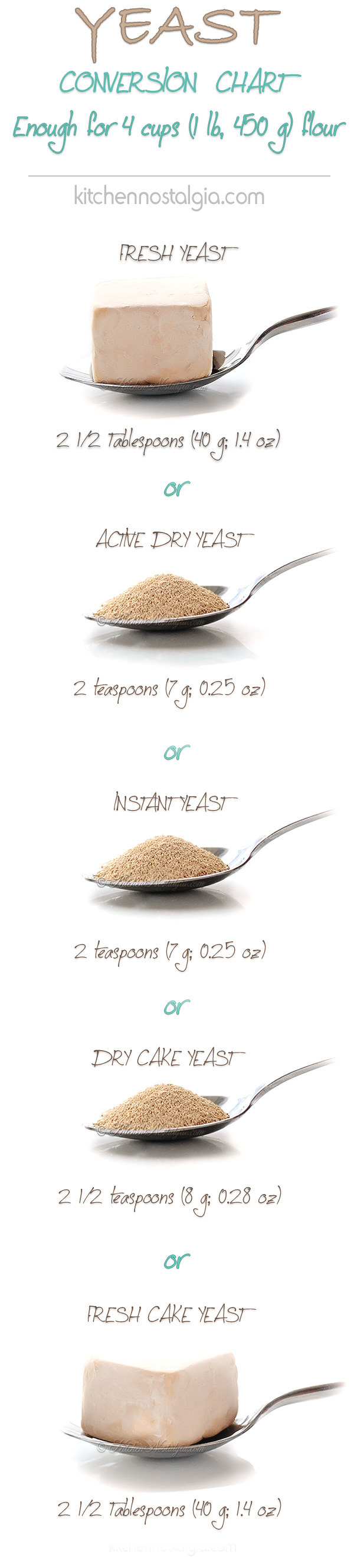 Yeast Conversion Chart