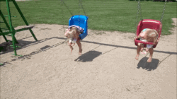 When children have the ability to manage their stress, they are able to perform their daily work better and with less mistakes. Stress can also cause your child to not act like their typical selves. Recess can help get them out of that funk.