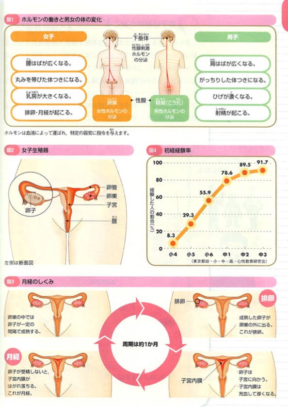 平成生まれはびっくり 1950年の保健の教科書に載っていた 性 の話