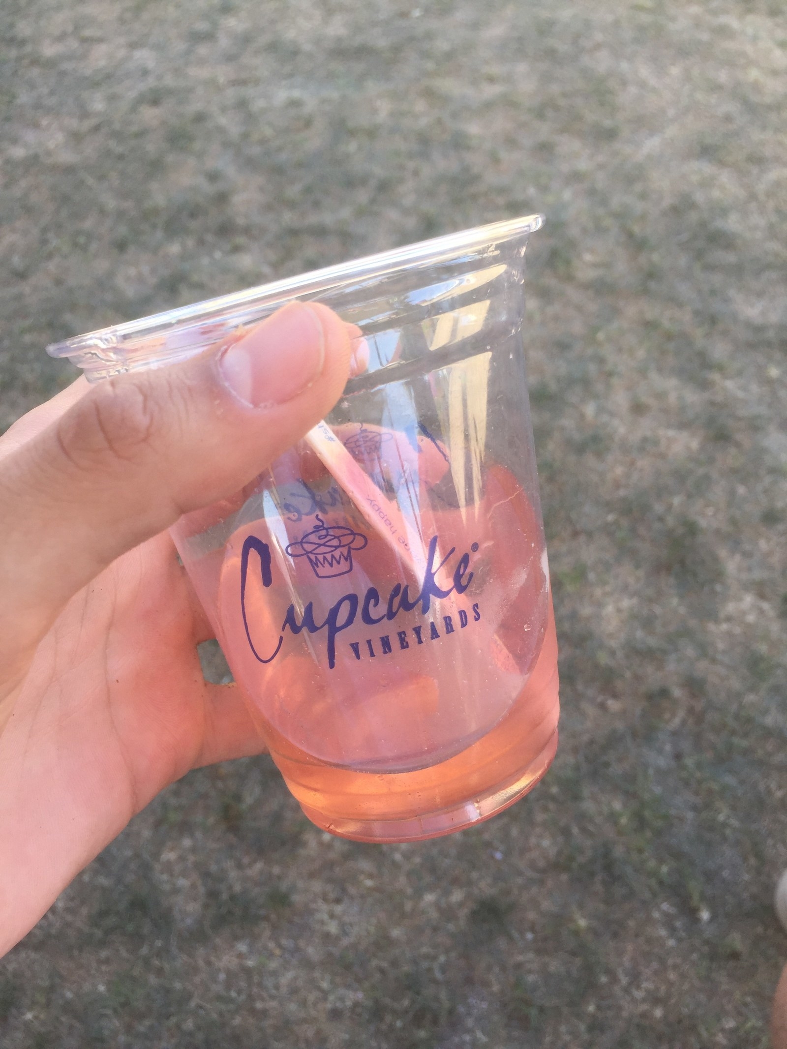 C'est pas MAUVAIS, mais diluer du rosé avec une glace à l'eau, c'est quand même pas la meilleure idée de tous les temps. Ça sucre le vin artificiellement, ce qui n'est pas forcément agréable quand on préfère le vin sec. Et ça ajoute beaucoup d'eau, ce qui n'est pas forcément agréable quand veut se bourrer la gueule.Et sinon, c'est pas comme si c'était hyper pratique à déguster... Pour peu qu'il fasse vraiment chaud, les morceaux de glace tombent d'eux-mêmes dans votre verre... Et le principe de faire tremper sa glace dans son rosé, qui paraissait agréable à première vue, se transforme vite en ice-cream float raté. Bof.