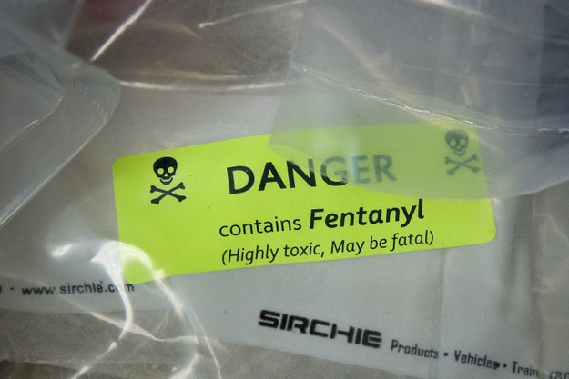 Doctors still don't know what could be causing the mysterious amnesia symptoms, though they have some theories.
