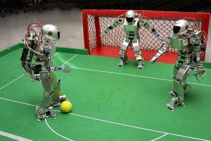 Hockey, fútbol, sumo y kung-fu, entre otras.
