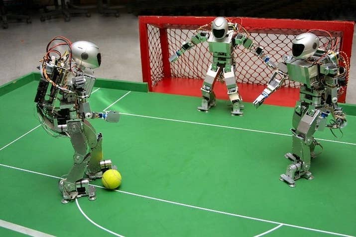 Hockey, fútbol, sumo y kung-fu, entre otras.