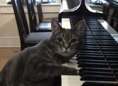 A grand piano weighs over 1,400 pounds and can be as big as 8 feet wide by 11 feet long.