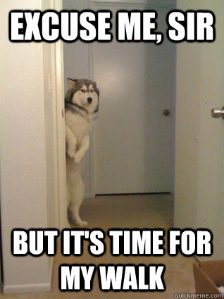I'm sure he would love to get out of the house.