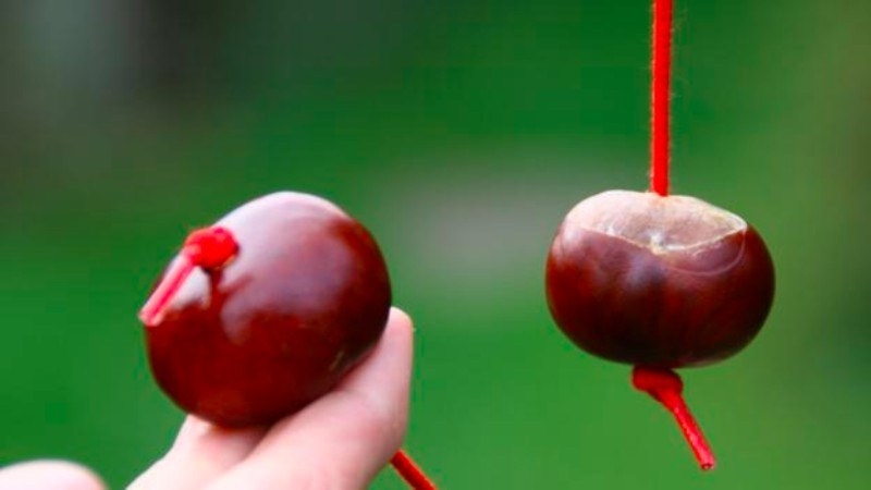 Kids today will never know the job of tying a bit of wood to a string and hitting said bit of wood against your friend’s bit of wood until the death. I think off stead ruined that one?