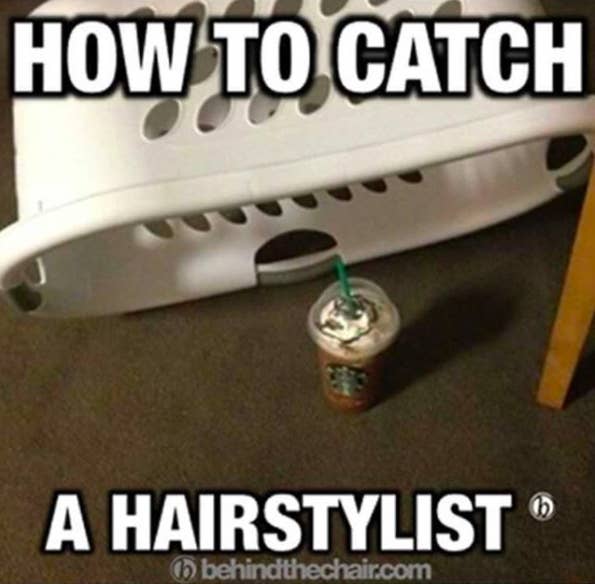 27 Memes That Will Make Every Hairstylist Actually Lol