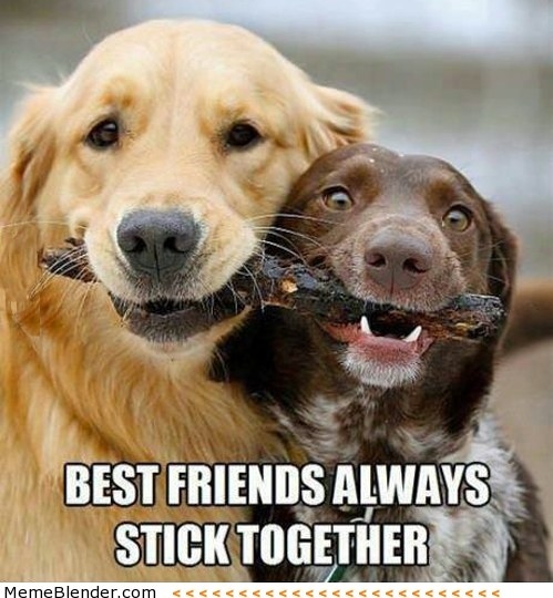 This image is portraying “mutual liking” in middle childhood. Mutual Liking is the psychological term of people tending to better like people who like them. In other words, these are people who truly enjoy each others company, enjoy spending time together, trust one another and feel better about themselves knowing someone likes them this much. This can also be referred to as a best friend! These friendships are so important in middle childhood because it is the basis for other important relationships in the future.