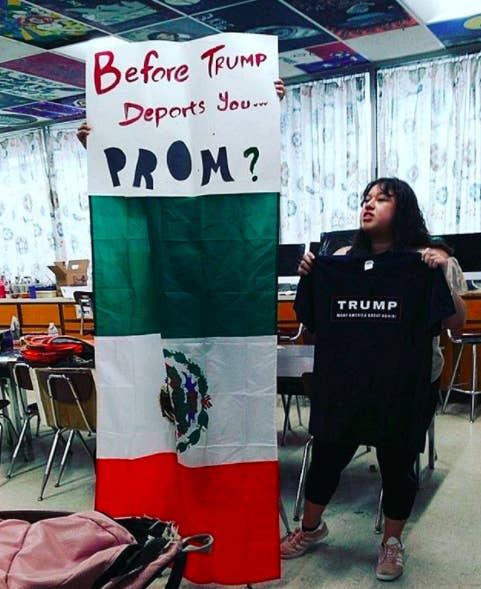 Political Promposals