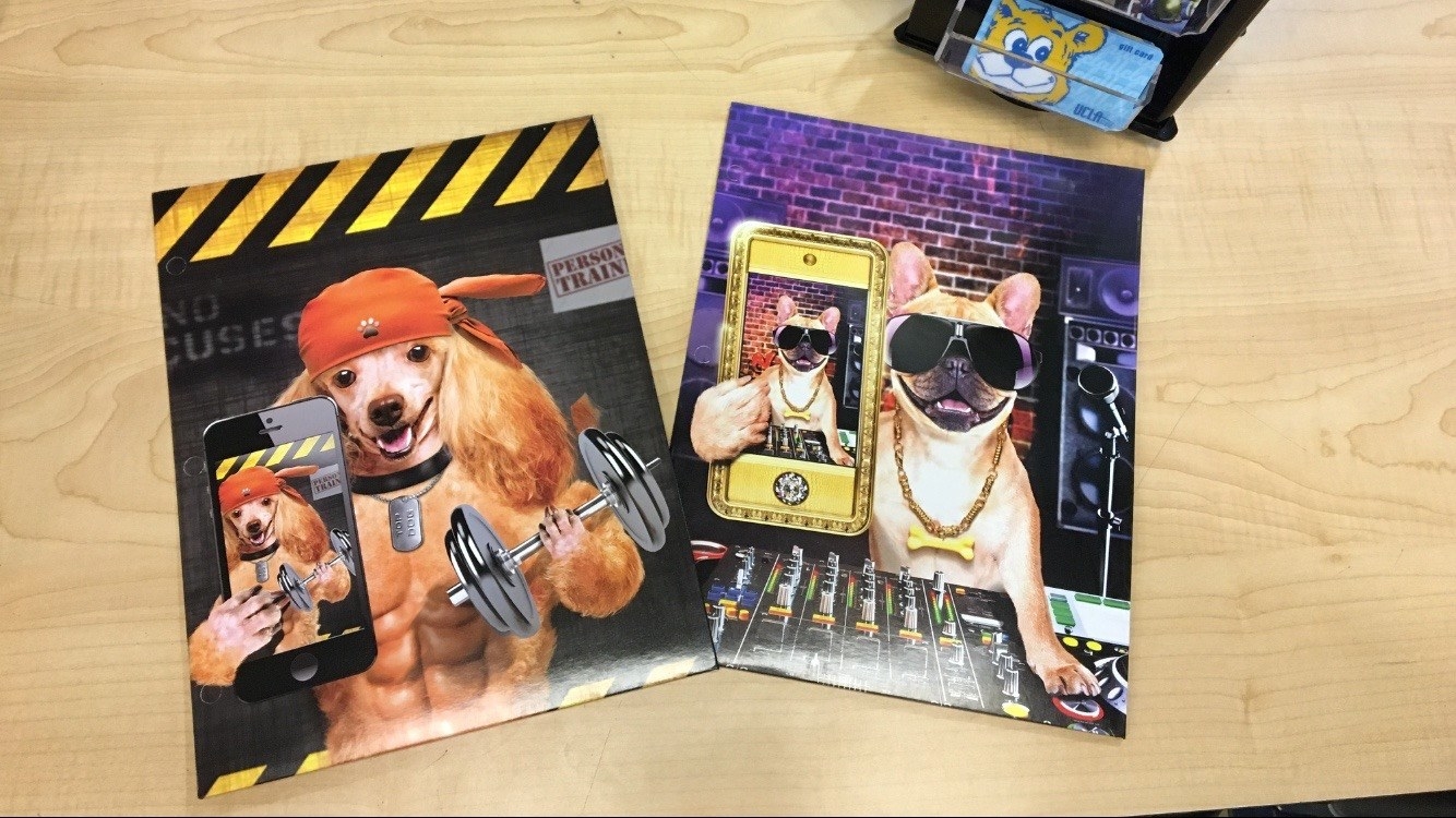 Shout out to whoever designed these and actually got them to be sold in a store, am I right?