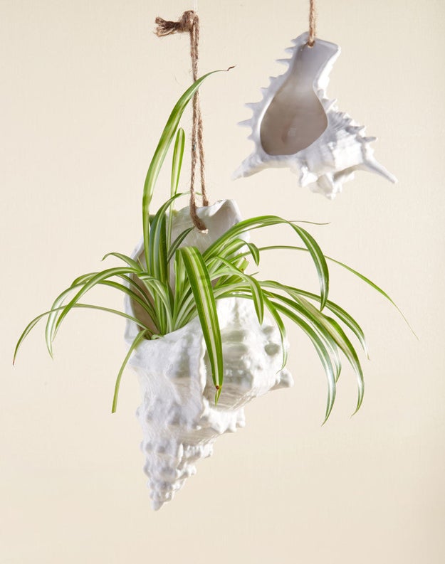 A set of hanging shell planters to give your pad major beach house vibes, even if you're stuck in the concrete jungle.