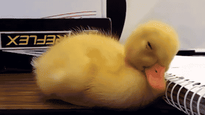 What it usually means: Where you go at work or school when you need to relieve yourself.What it means to night people: Where you go at work or school when you need to take a sneaky nap.