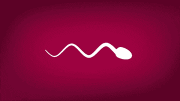 Underwear sperm pass through Healthboards