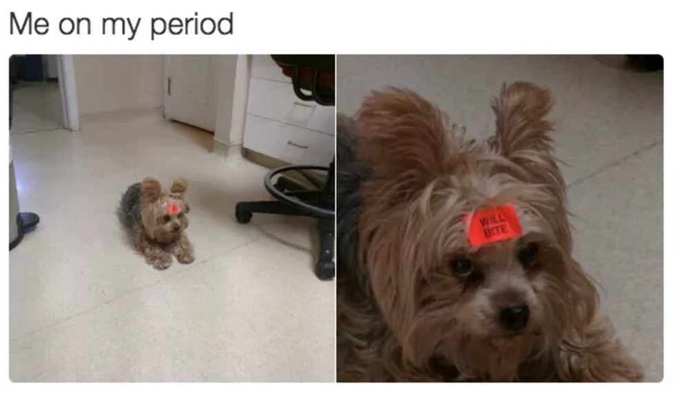 19 Memes You Should Send To Your Period Buddy Immediately