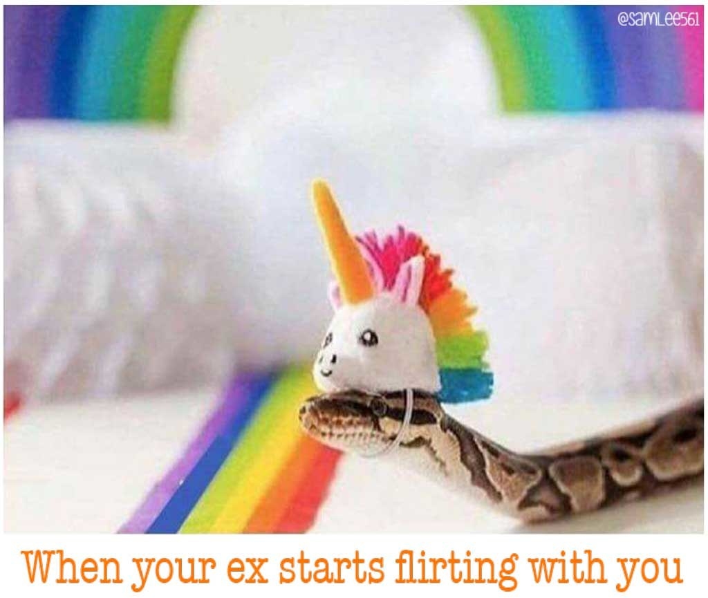 and they be all rainbows and unicorns, but underneath you know they are still a snake...