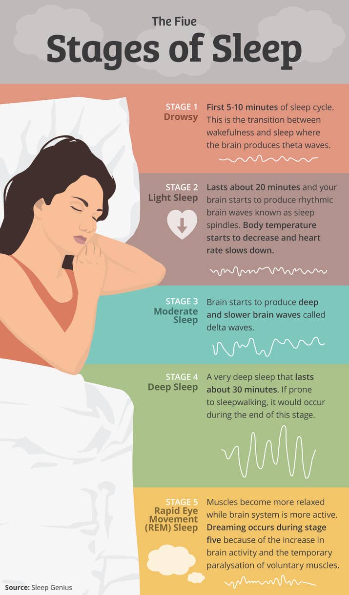 Just in case you want to understand why waking up at certain times makes you even more groggy and disoriented than you did when you went to sleep, while other times you wake up feeling like a g.d. superhero. Have some fun learning more about sleep with this quiz.