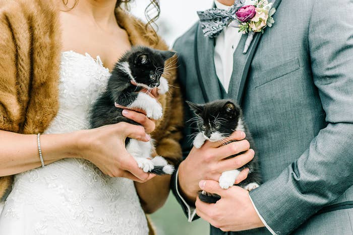 The couple brought along the felines, named Jeeves and Houdini, to promote Divine Feline, a Colorado-based animal rescue agency where they volunteer regularly, their photographer Autumn Cutaia told BuzzFeed.