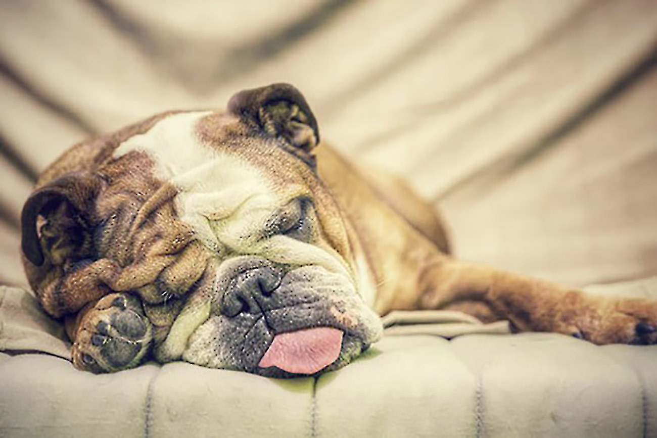 The cheapest thing you can do when you're broke is to nap! While you're asleep, you're completely distracted from the idea that you are undoubtedly financially unstable. Plus, everyone deserves a nap. END OF DAY BALANCE: $16-17
