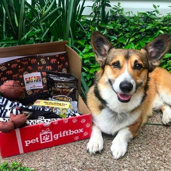corgi subscription box