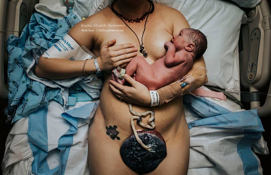 これが命がうまれる瞬間 美しい16枚の写真