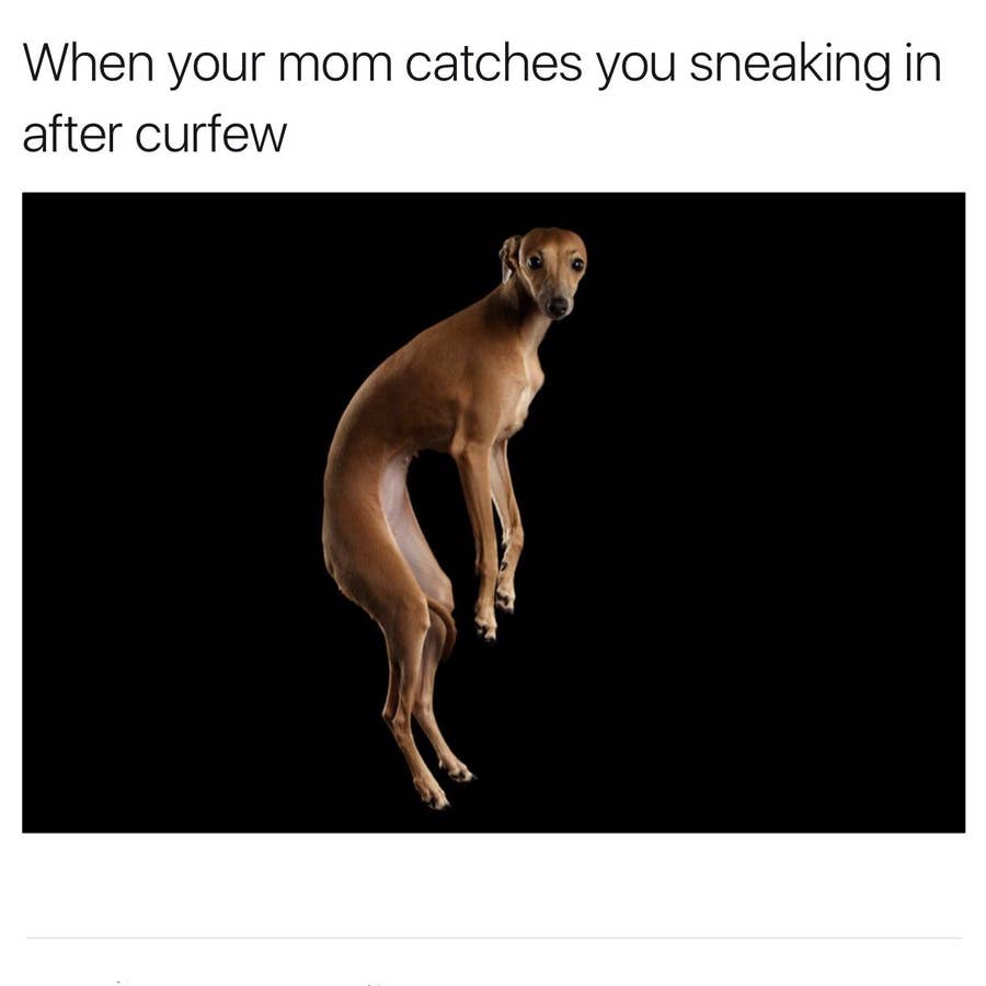 53 Memes You Should Send To Your Parents Right Now