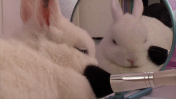 You too can look as fabulous as this bunny one day.