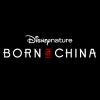 borninchina