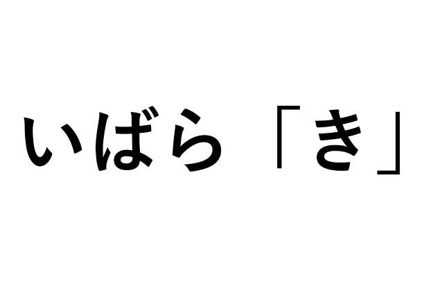 人生に疲れた人 今すぐこの画像をみて