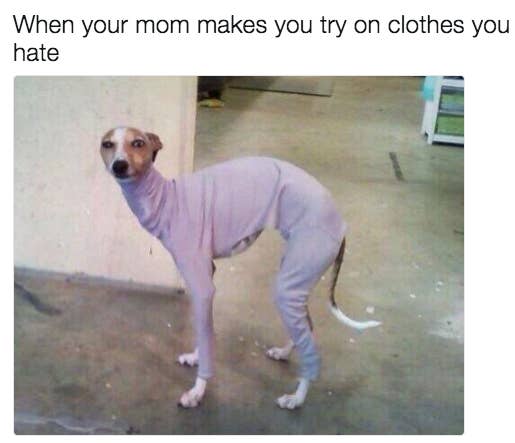 31 Memes To Send To Your Mom Right Now