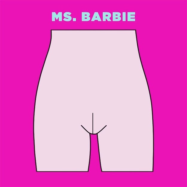 First up: What Mel refers to as the Ms. Barbie. This is the vag most people picture when they think of a vagina. Actually, says Mel, FEW PEOPLE ACTUALLY HAVE THIS VAGINA.