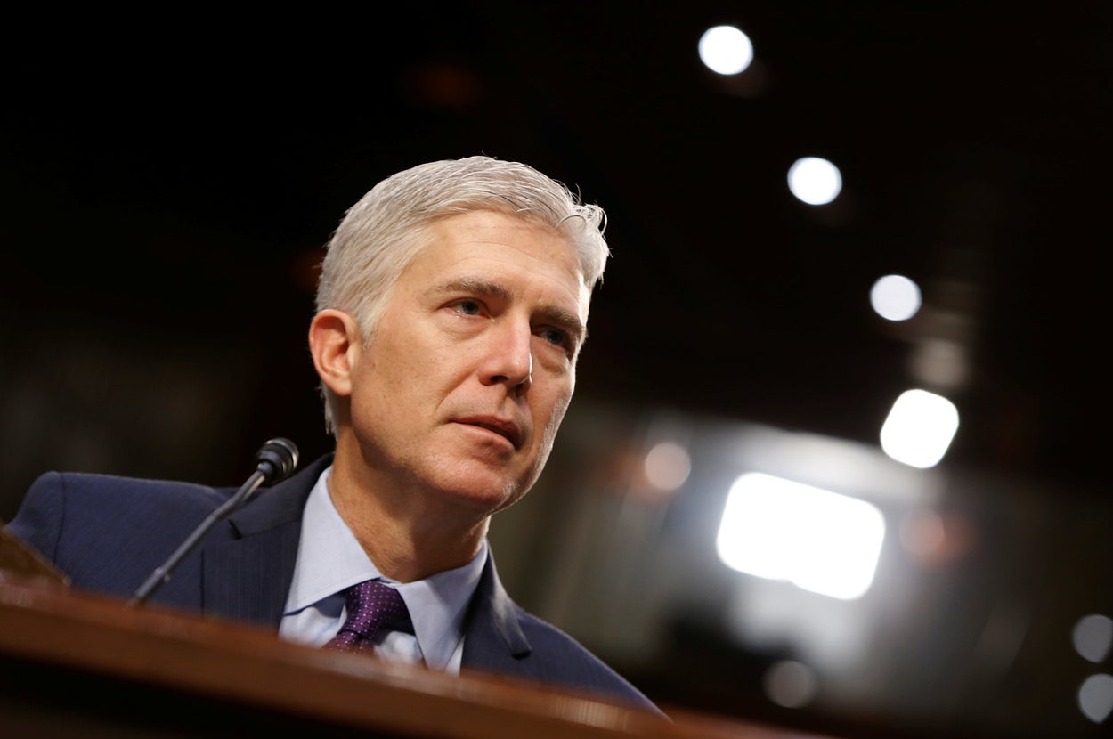 Emma Loop Neil Gorsuch