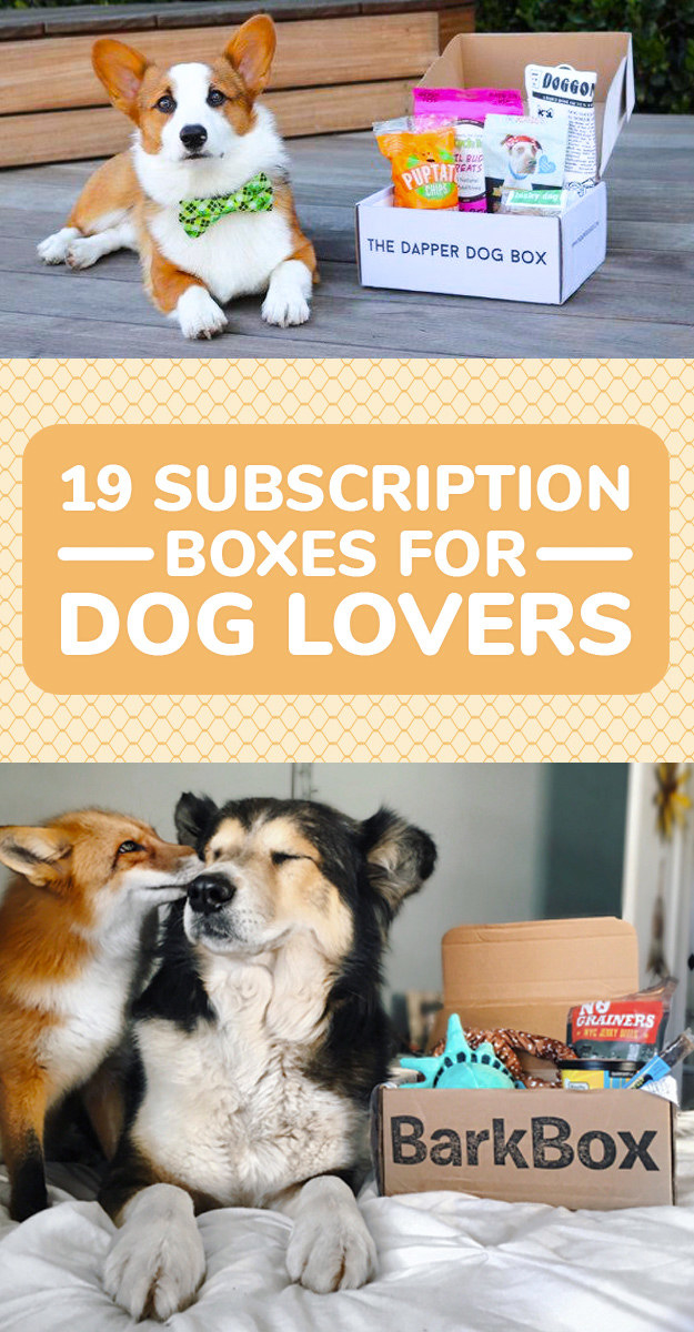 19 Subscription Boxes For People Who Love Their Dog More Than Life