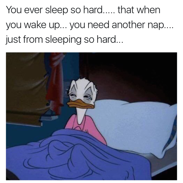 55 Hilarious Memes For Anyone Who Just Loves Sleep