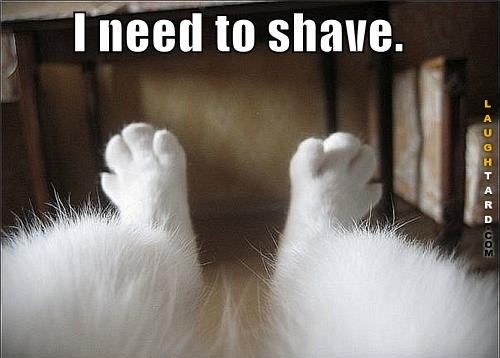 Not only did you not need to shower as often (do you remember when you didn't even know what deodorant was?), but there were no itchy beards, hairy legs, or eyebrows to manage. There’s always laser hair removal...